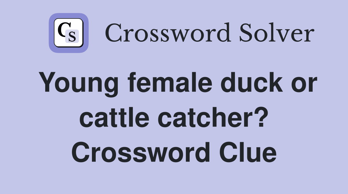 Young female duck or cattle catcher? Crossword Clue