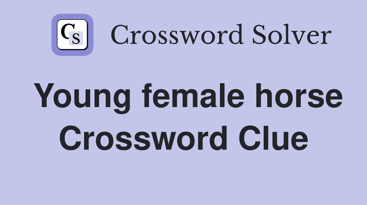 Young female horse Crossword Clue