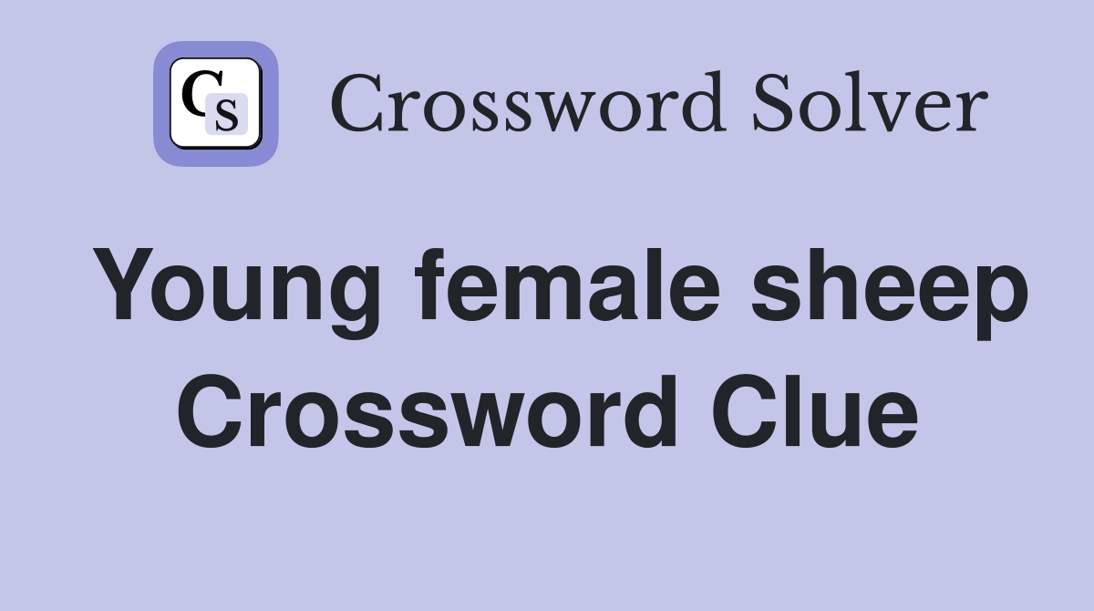 Young female sheep Crossword Clue
