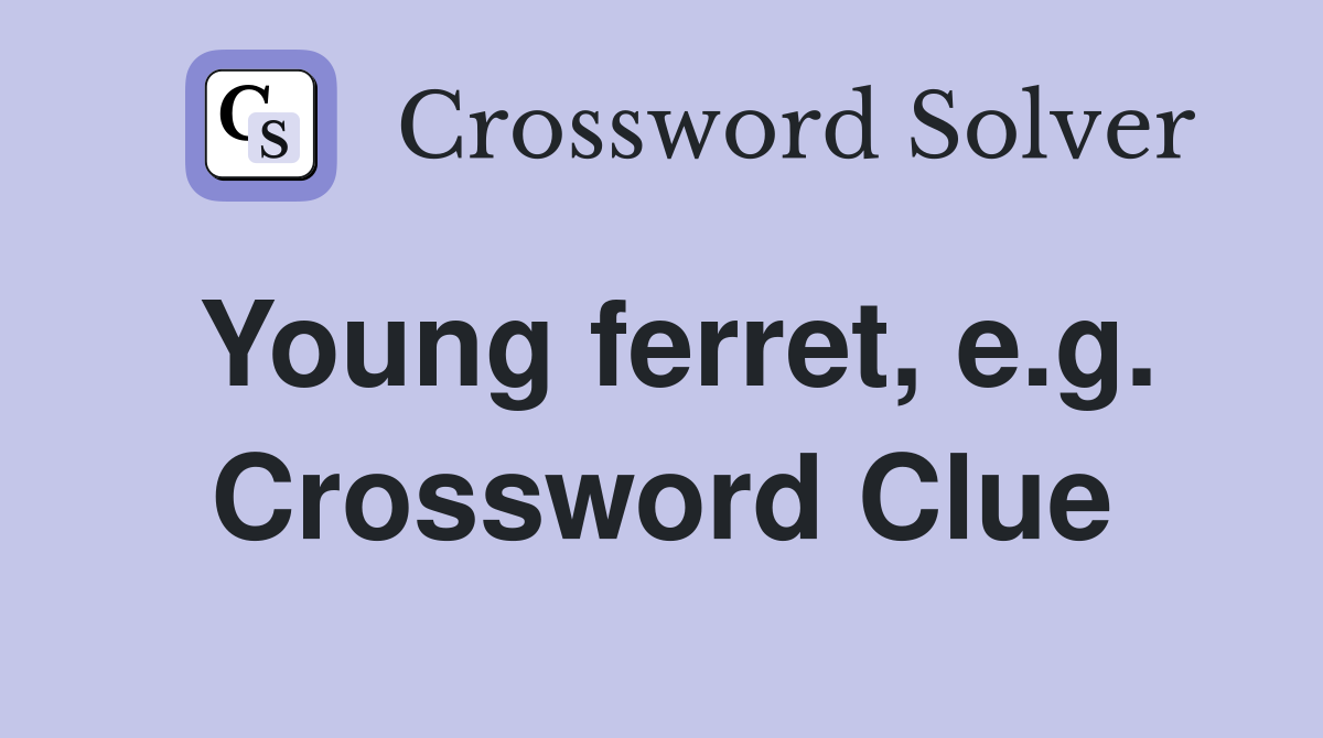 Young ferret, e.g. Crossword Clue