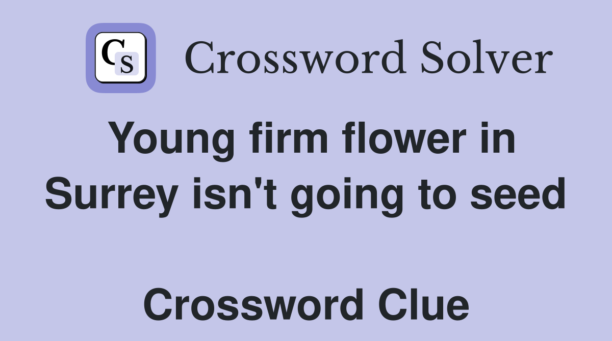 Young firm flower in Surrey isn't going to seed  Crossword Clue