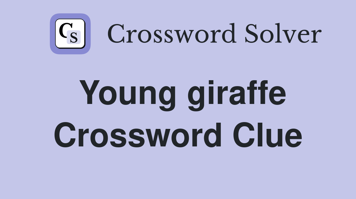 Young giraffe Crossword Clue