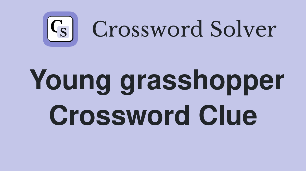 Young grasshopper Crossword Clue