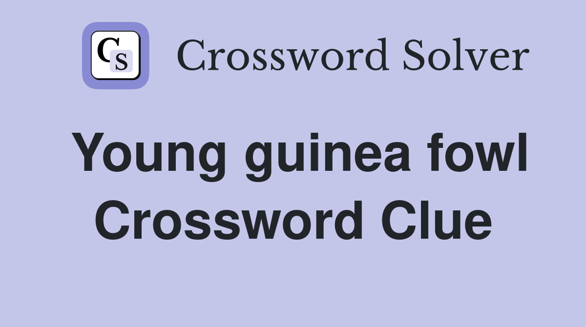 Young guinea fowl Crossword Clue