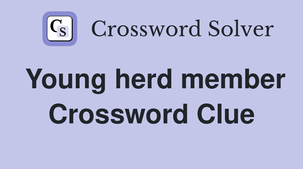 Young herd member Crossword Clue