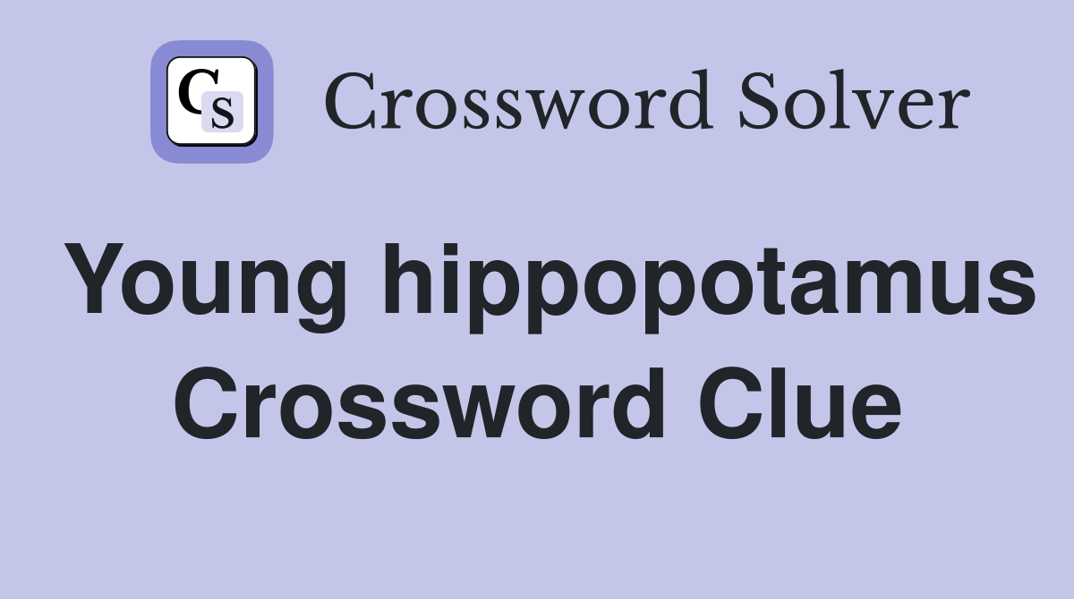 Young hippopotamus Crossword Clue