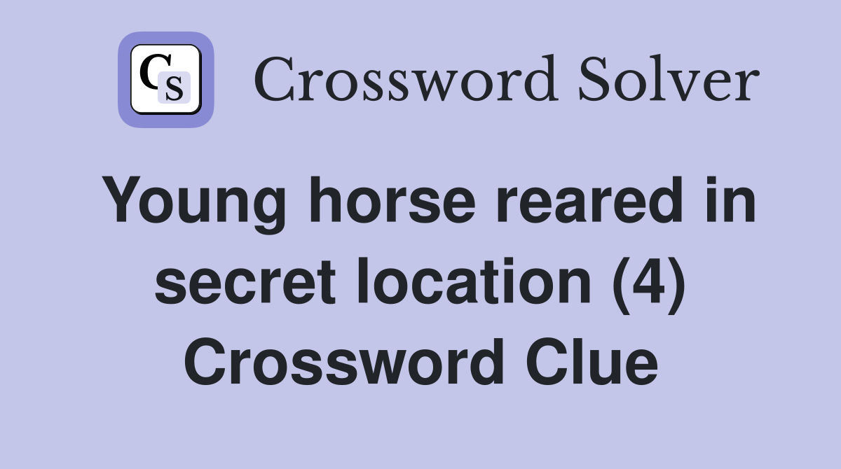 Young horse reared in secret location (4) Crossword Clue