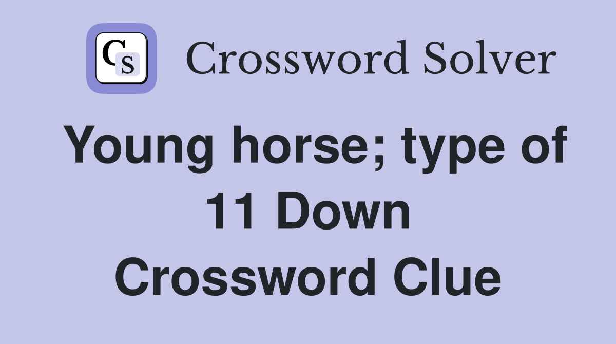 Young horse; type of 11 Down Crossword Clue