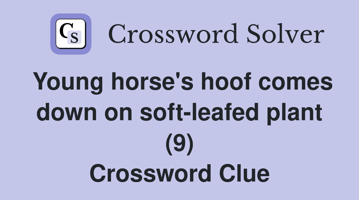 Young horse's hoof comes down on soft-leafed plant (9) Crossword Clue