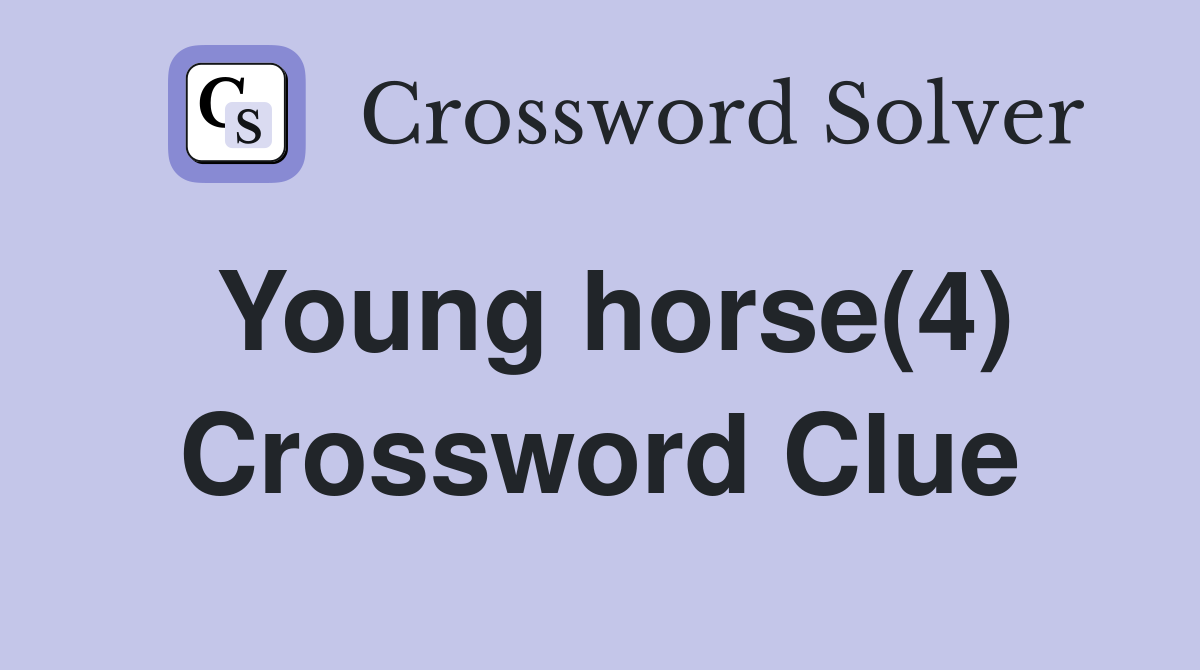 Young horse(4) Crossword Clue