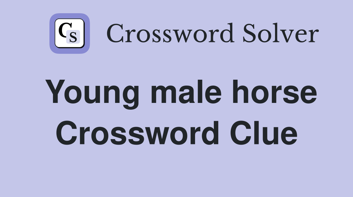 Young male horse Crossword Clue