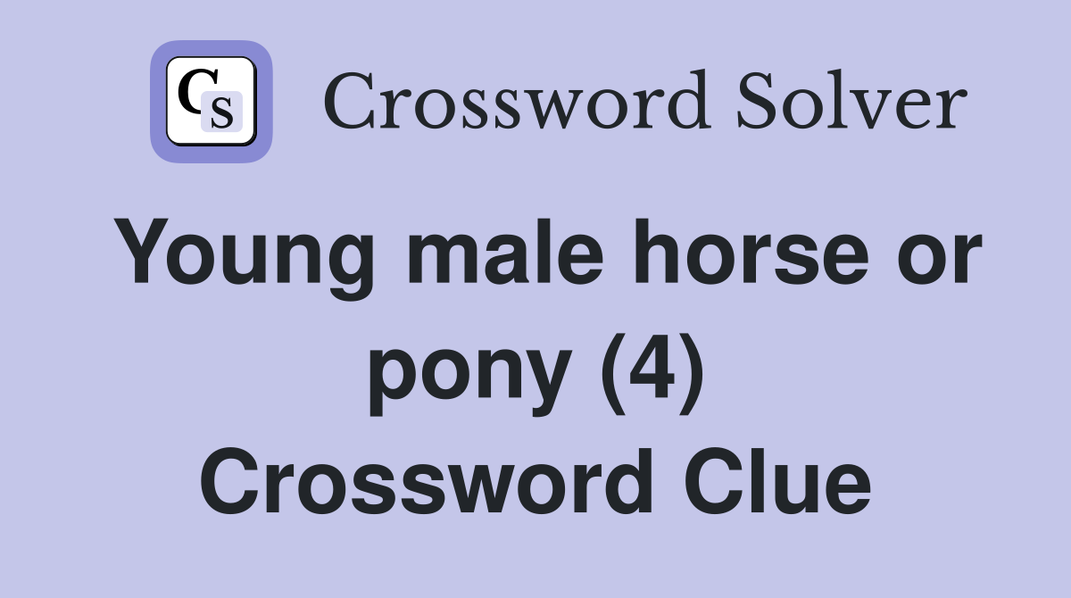 Young male horse or pony (4) Crossword Clue