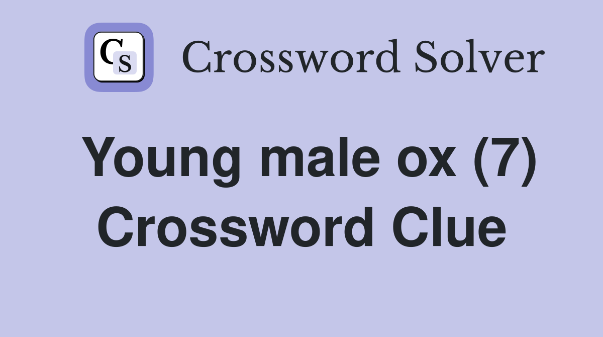 Young male ox (7) Crossword Clue