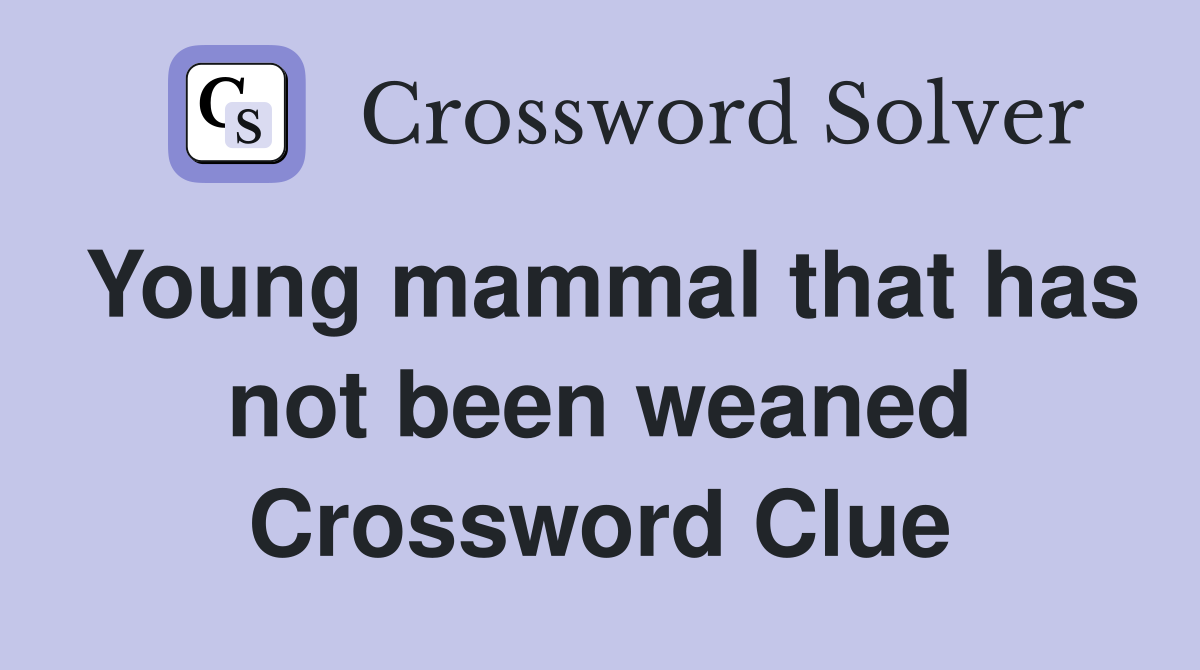 Young mammal that has not been weaned Crossword Clue