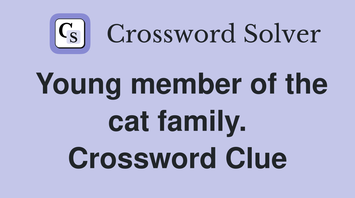 Young member of the cat family. Crossword Clue