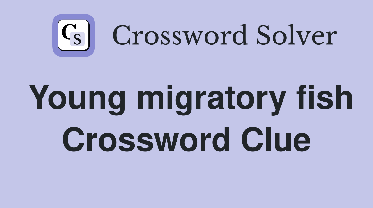 Young migratory fish Crossword Clue