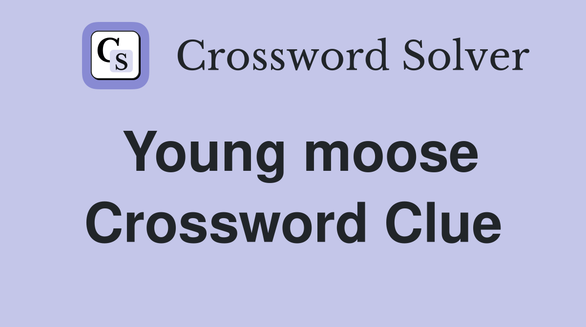 Young moose Crossword Clue