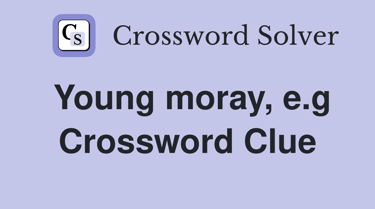 Young moray, e.g Crossword Clue