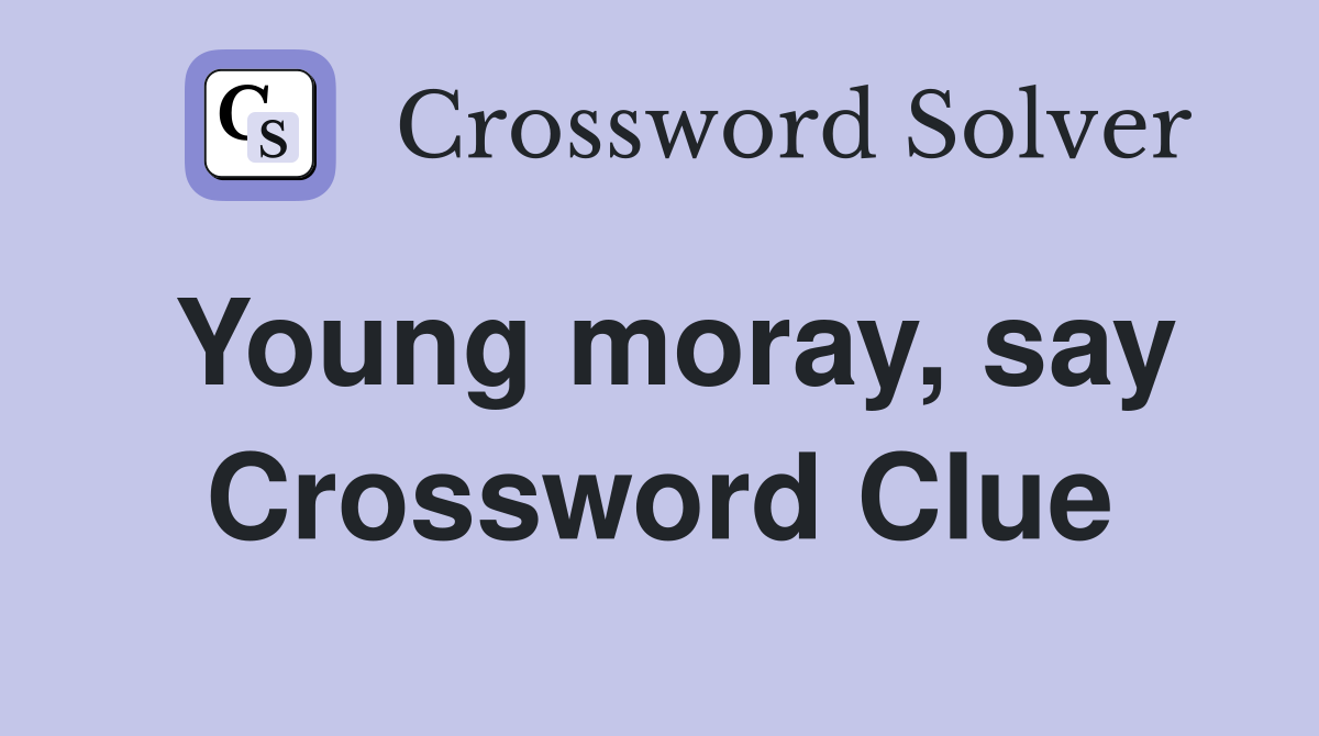 Young moray, say Crossword Clue