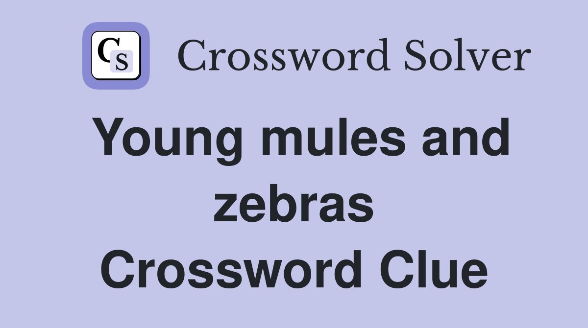 Young mules and zebras Crossword Clue