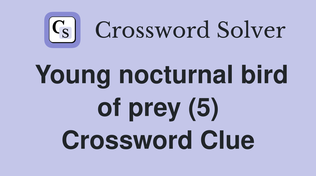 Young nocturnal bird of prey (5) Crossword Clue