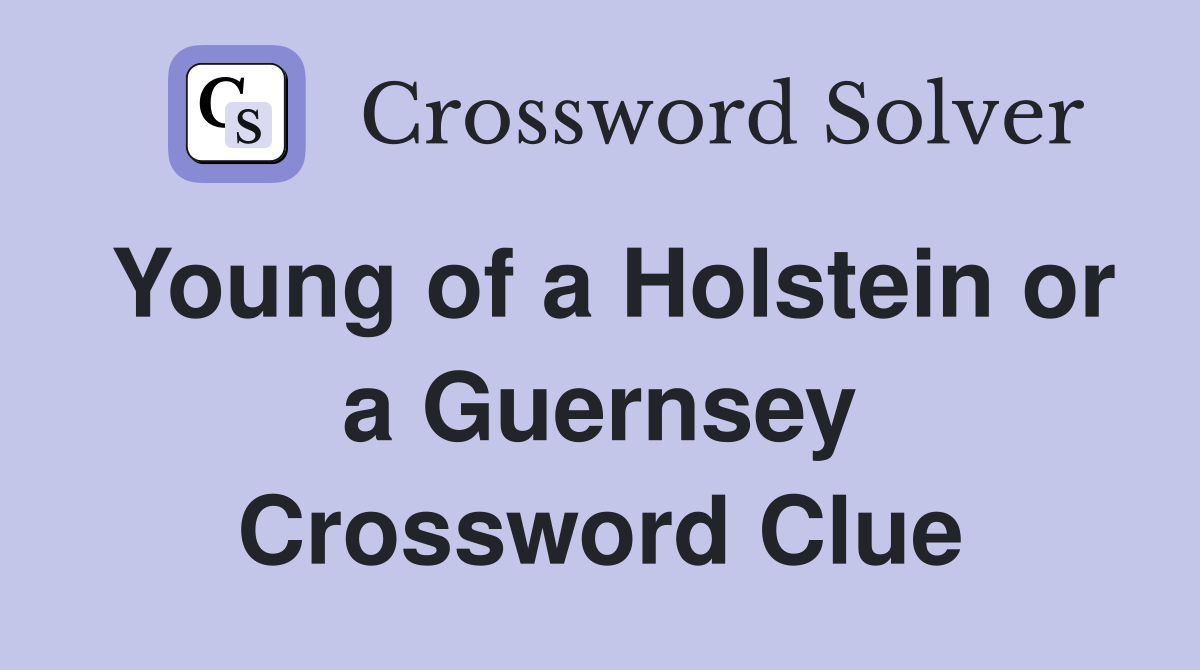 Young of a Holstein or a Guernsey Crossword Clue