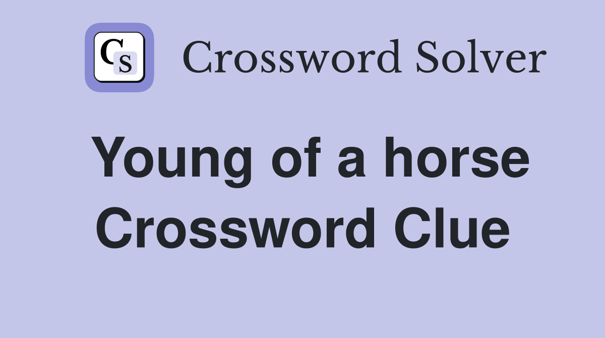 Young of a horse Crossword Clue