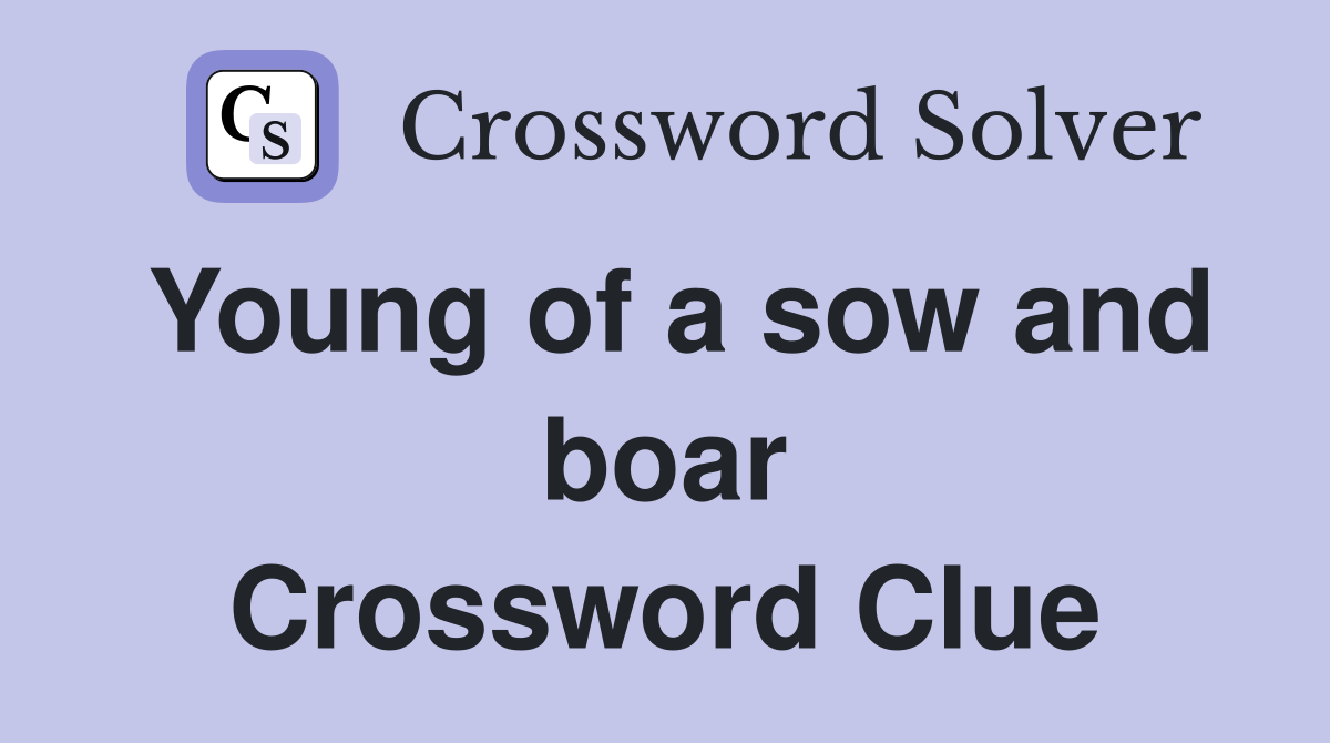 Young of a sow and boar Crossword Clue