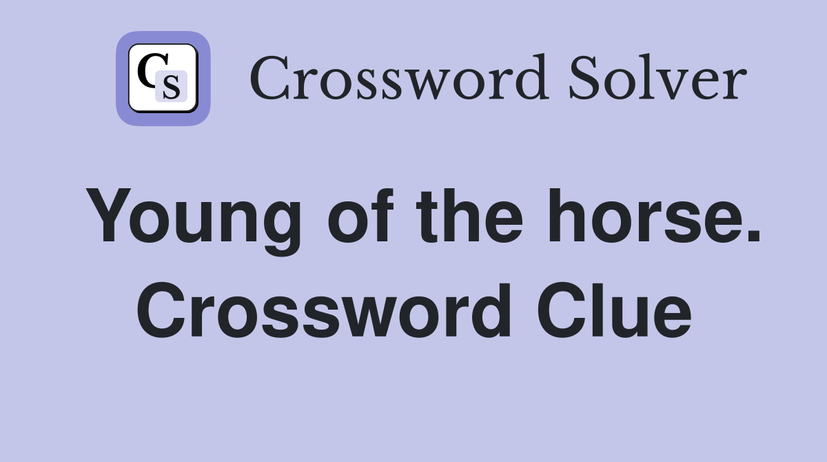 Young of the horse. Crossword Clue