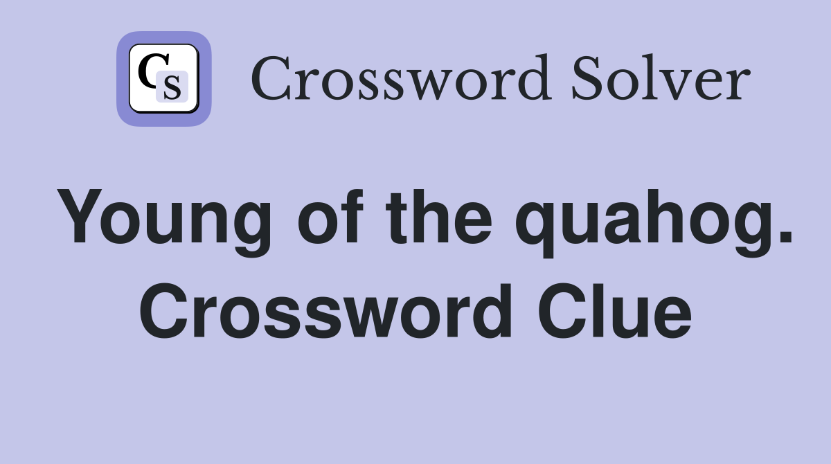 Young of the quahog. Crossword Clue