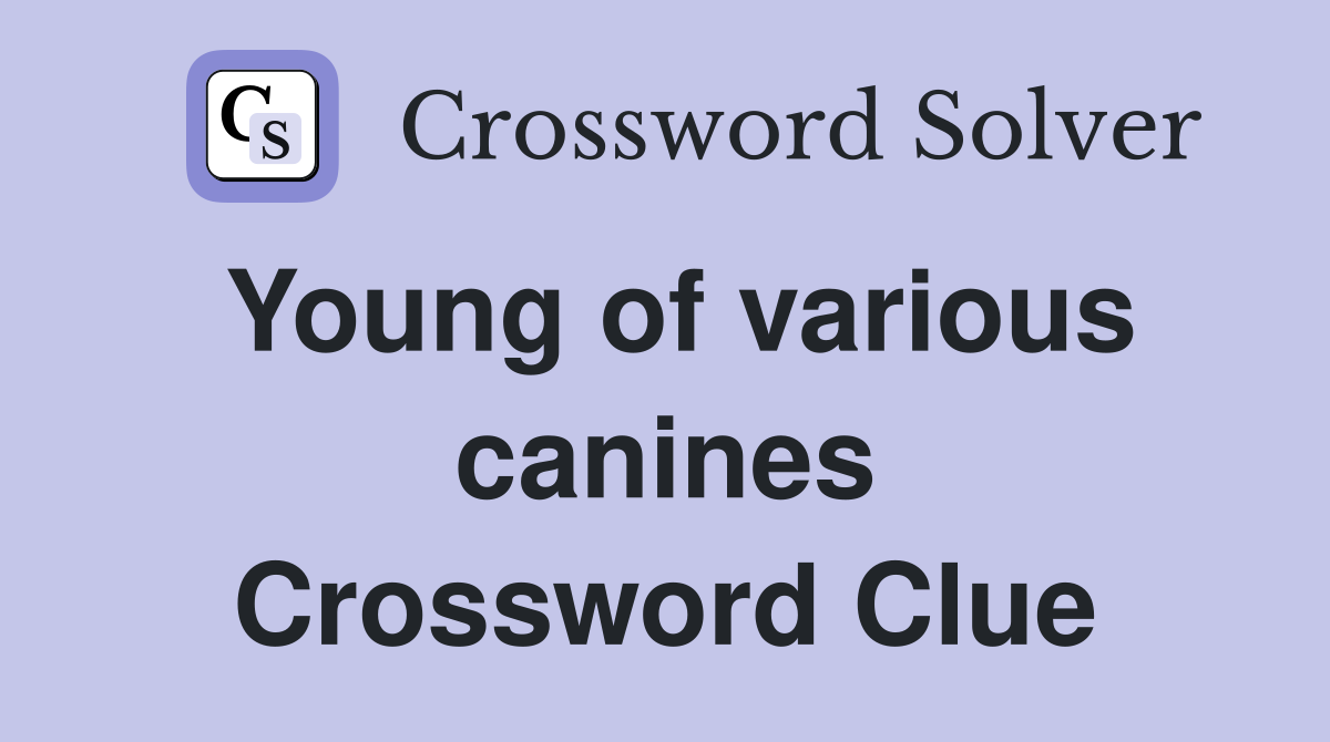 Young of various canines Crossword Clue
