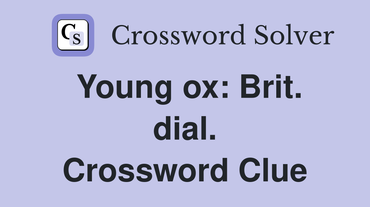 Young ox: Brit. dial. Crossword Clue