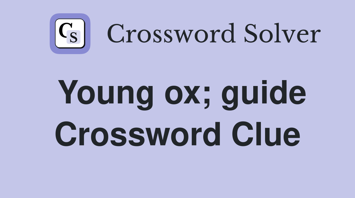 Young ox; guide Crossword Clue