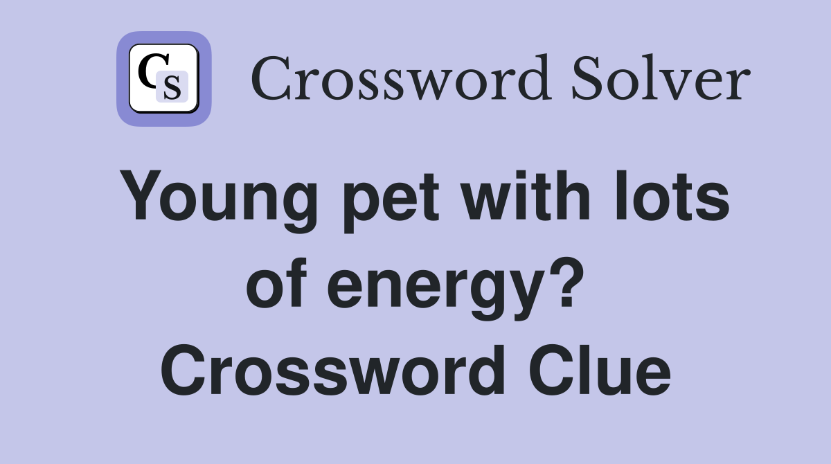 Young pet with lots of energy? Crossword Clue