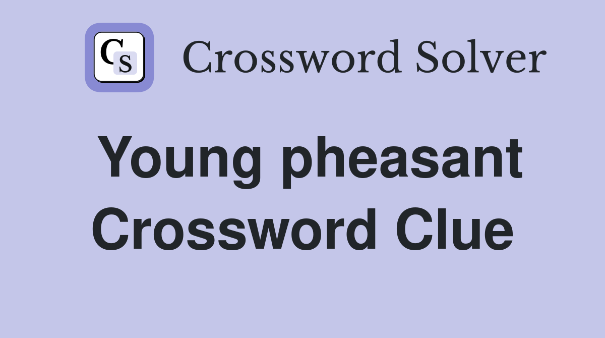 Young pheasant Crossword Clue