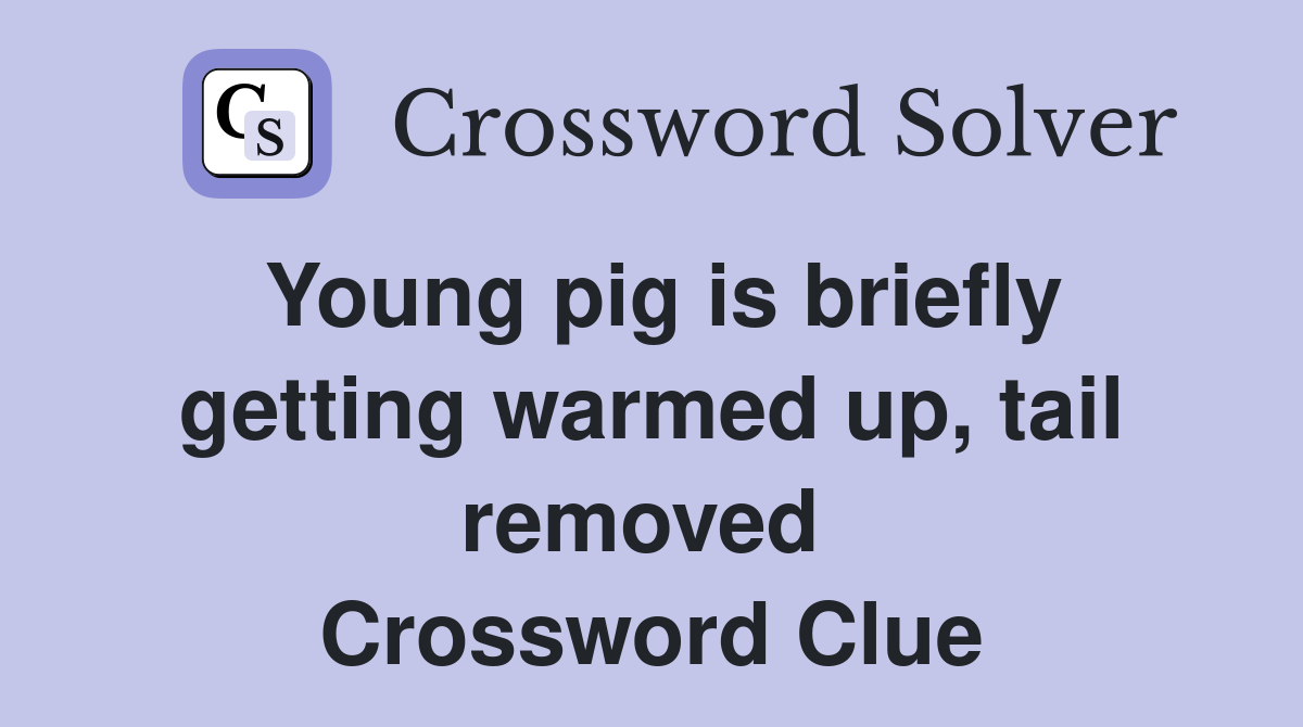 Young pig is briefly getting warmed up, tail removed  Crossword Clue