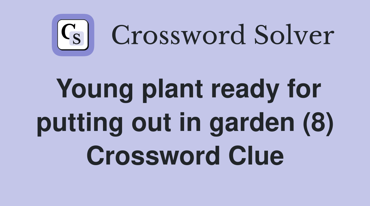 Young plant ready for putting out in garden (8) Crossword Clue