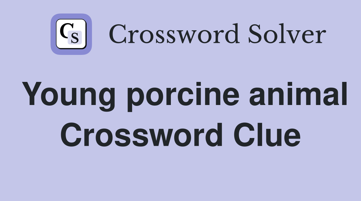 Young porcine animal Crossword Clue