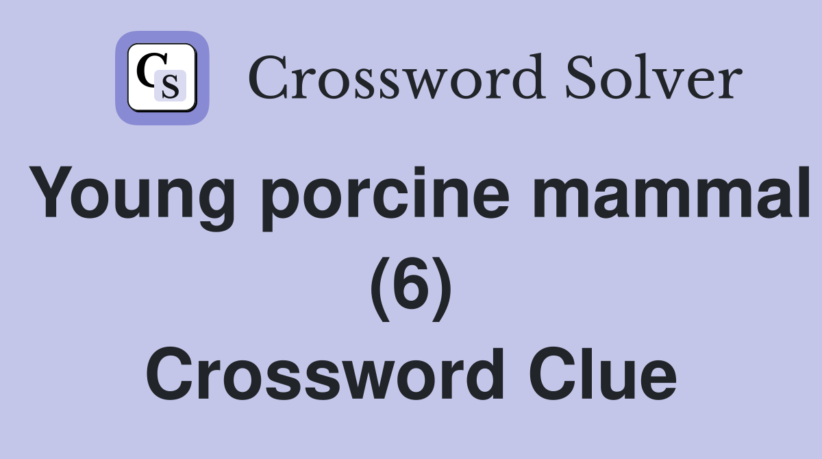 Young porcine mammal (6) Crossword Clue