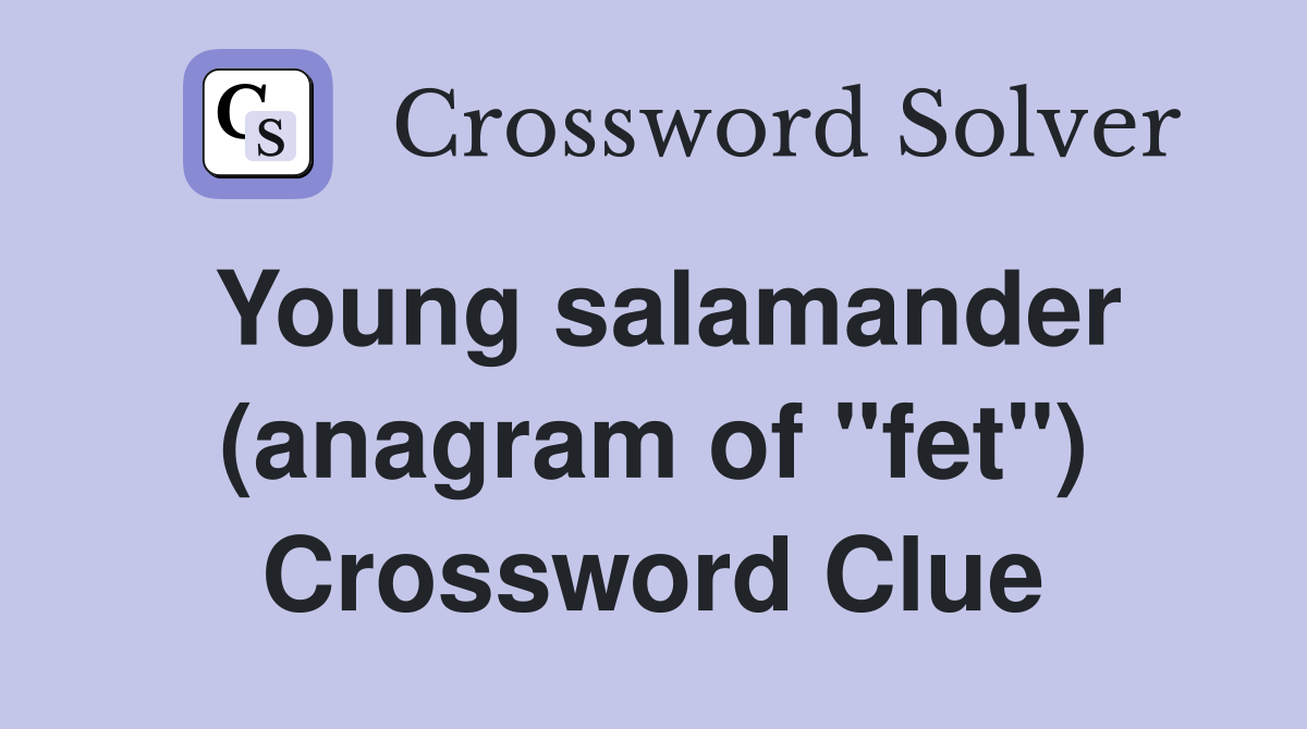Young salamander (anagram of "fet") Crossword Clue