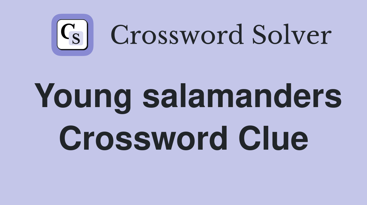Young salamanders Crossword Clue