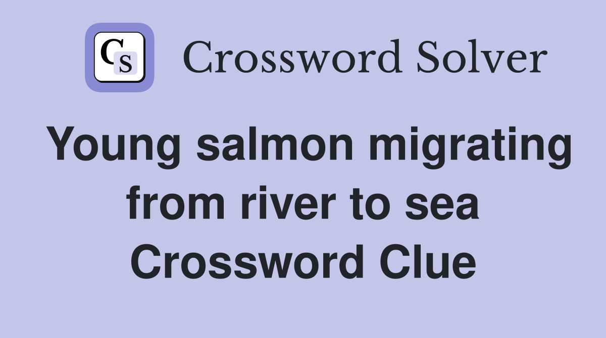 Young salmon migrating from river to sea Crossword Clue