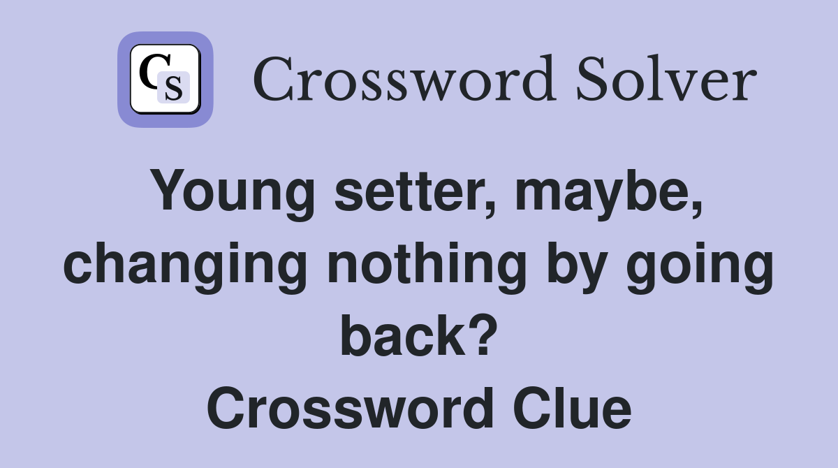 Young setter, maybe, changing nothing by going back? Crossword Clue