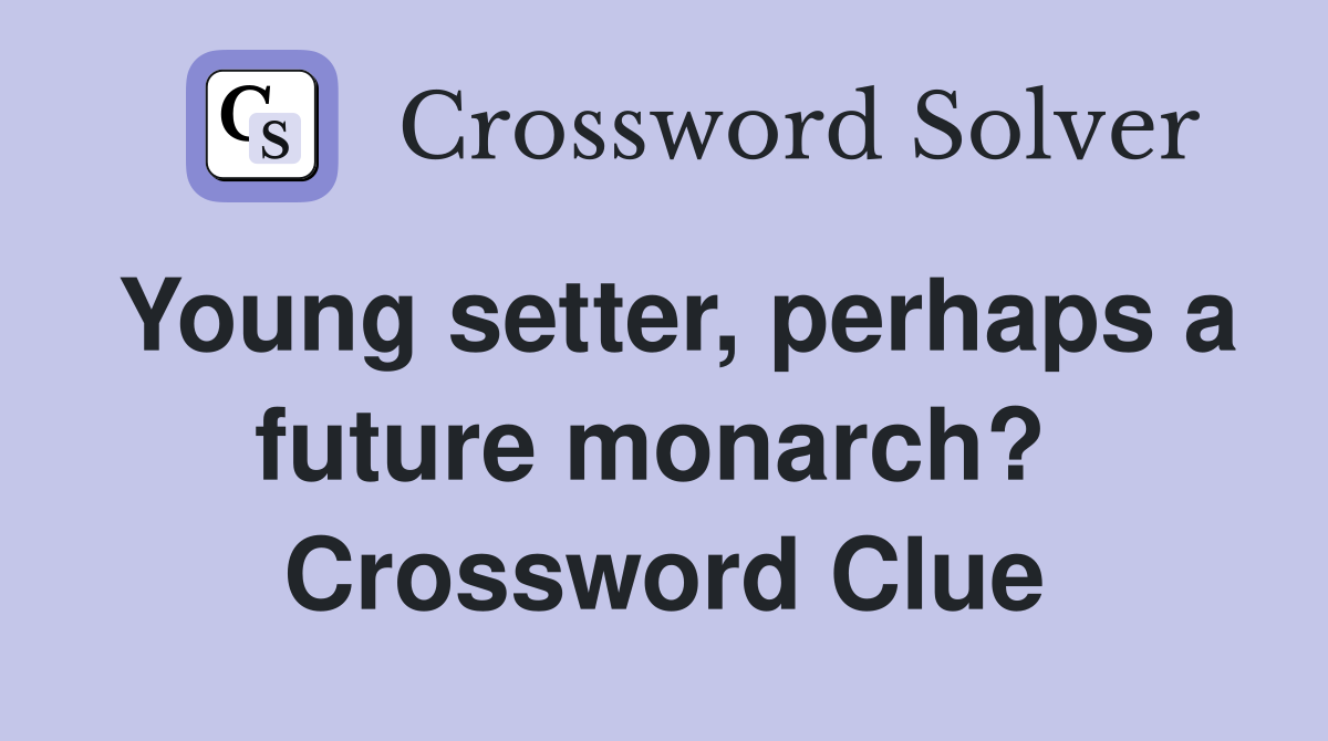 Young setter, perhaps a future monarch?  Crossword Clue