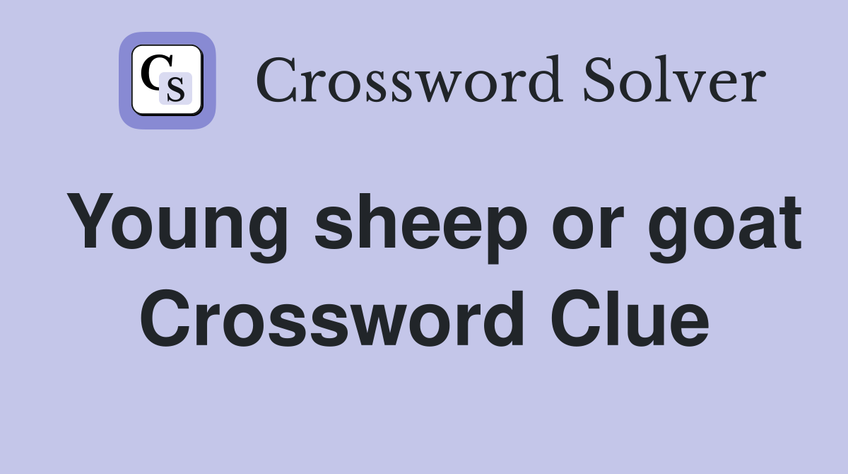 Young sheep or goat Crossword Clue