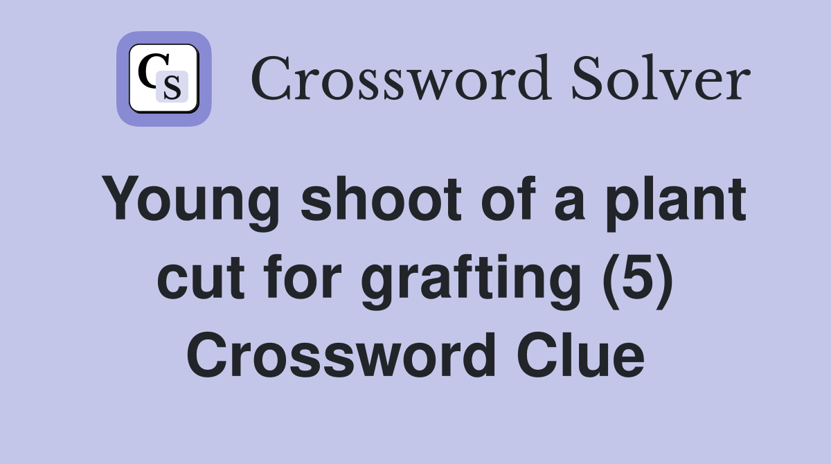 Young shoot of a plant cut for grafting (5) Crossword Clue