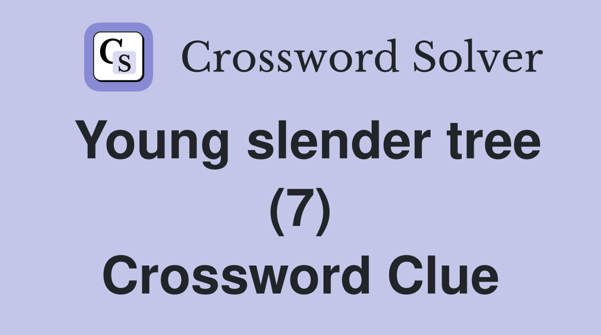 Young slender tree (7) Crossword Clue