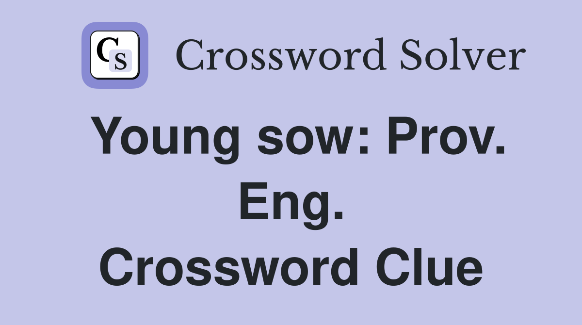 Young sow: Prov. Eng. Crossword Clue