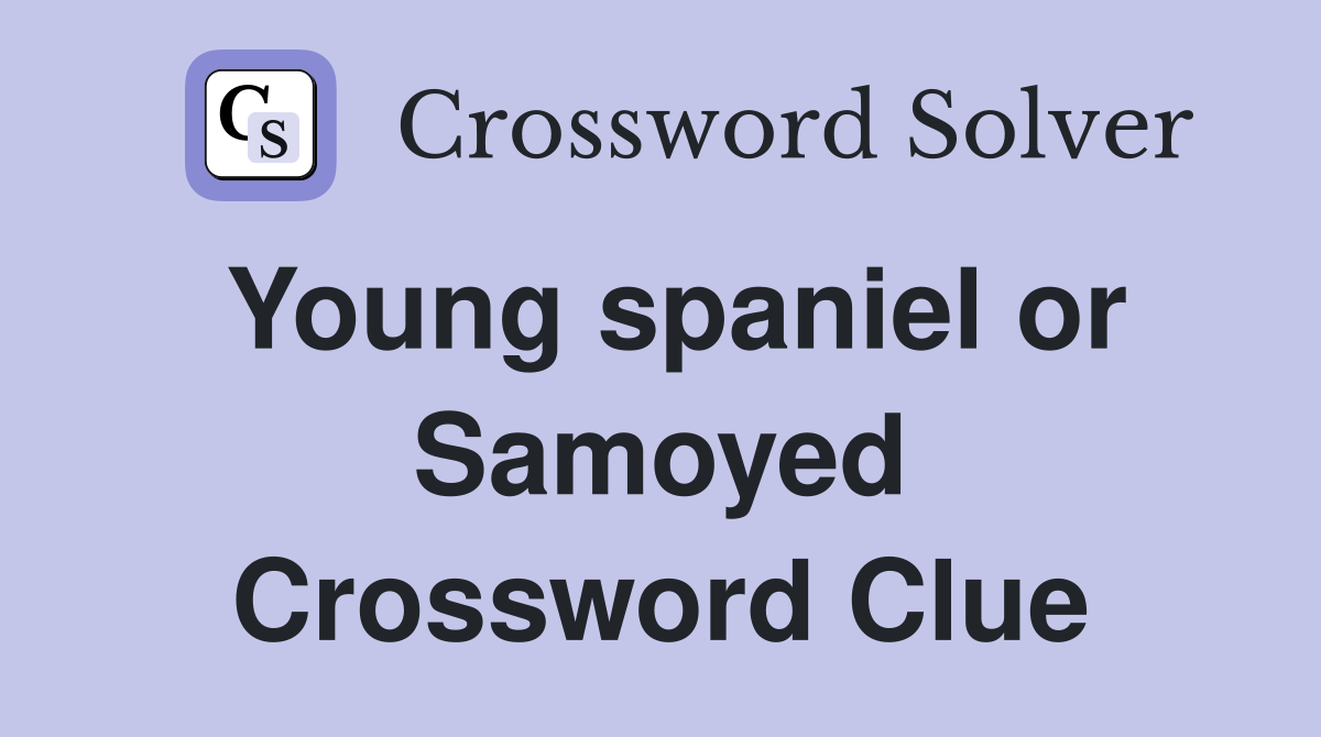 Young spaniel or Samoyed Crossword Clue