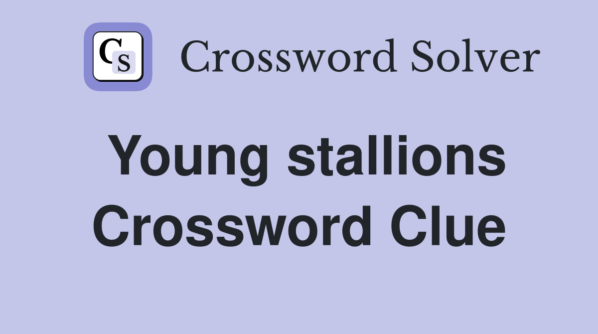 Young stallions Crossword Clue